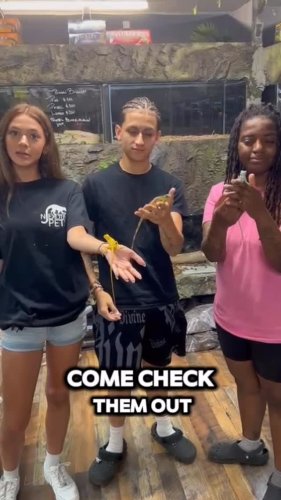 Video post from njexoticpets.