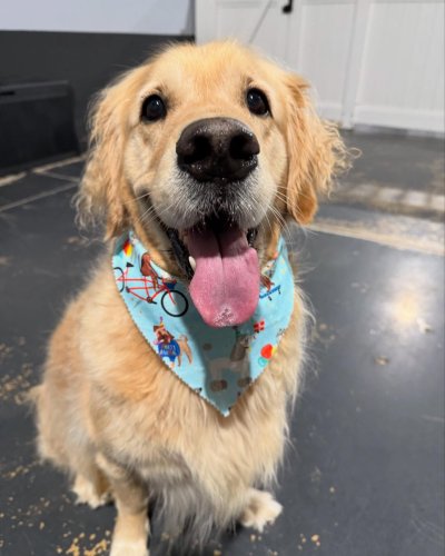 Carousel post from k9playtimedoggydaycare.