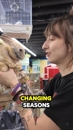 Video post from njexoticpets.