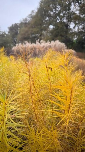 Video post from sussexprairies.