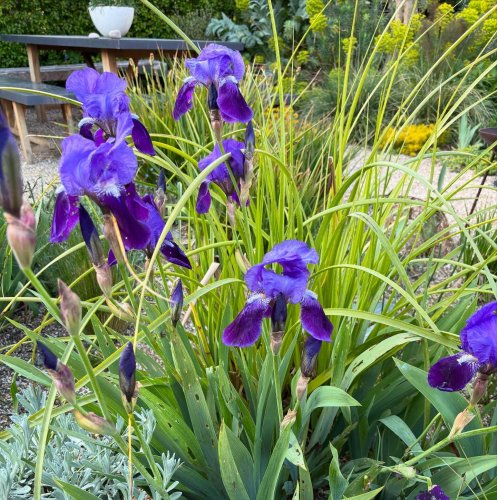 Photo post from gardenhousebrighton.