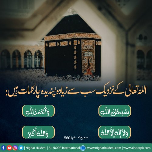 Photo post from nighathashmi.