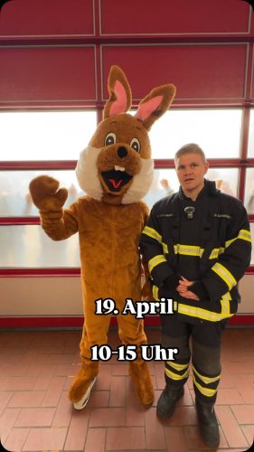Video post from ff_stellingen.