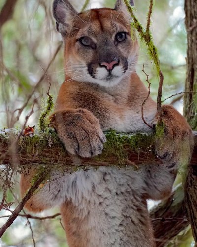 Carousel post from finnriver.