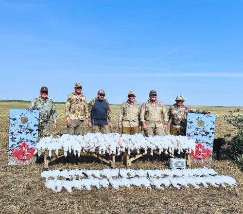 Photo post from northernskiesoutfitters.