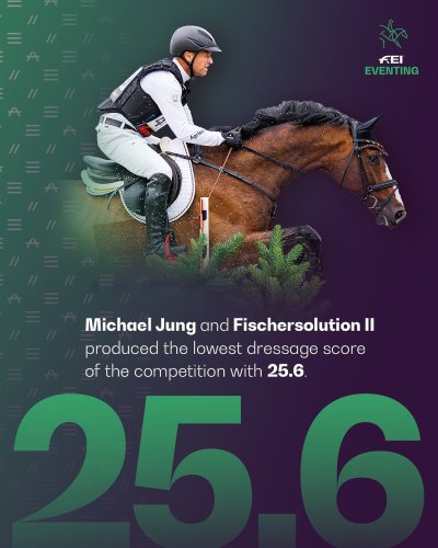 Carousel post from fei_global.