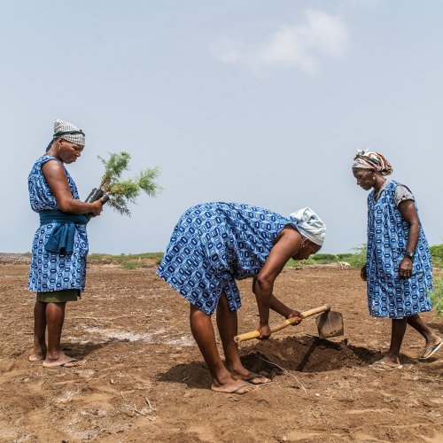 Photo post from unops_official.