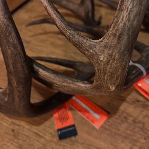 Photo post from northernskiesoutfitters.