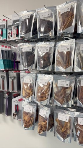 Video post from k9playtimedoggydaycare.