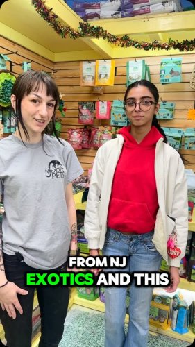 Video post from njexoticpets.