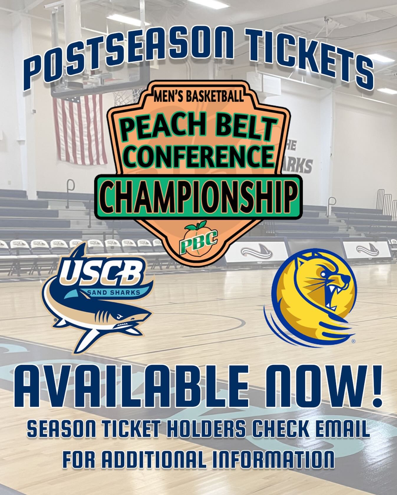 Photo post from uscbsandsharks.