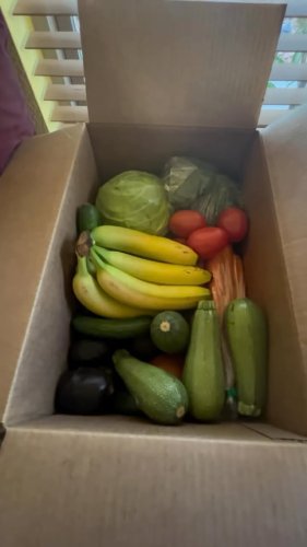 Video post from farmbox_arizona.