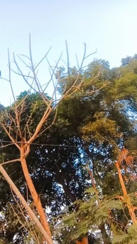 Video post from aamayrababy.