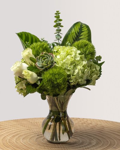Photo post from thefamilyflowers.