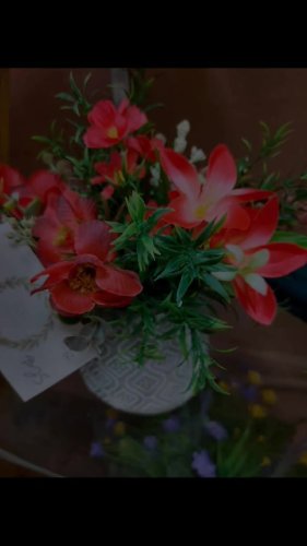 Video post from niftygiftynorfolk.