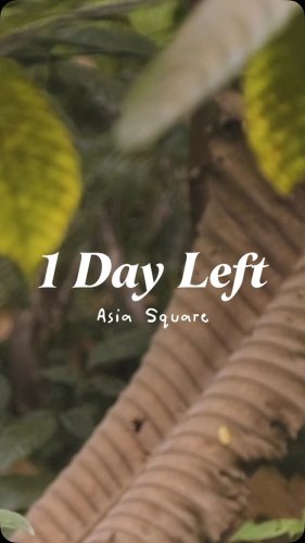 Video post from crane_living.