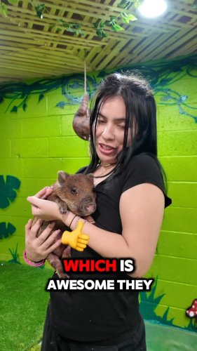 Video post from njexoticpets.