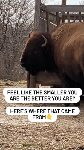 Video post from claradepont.