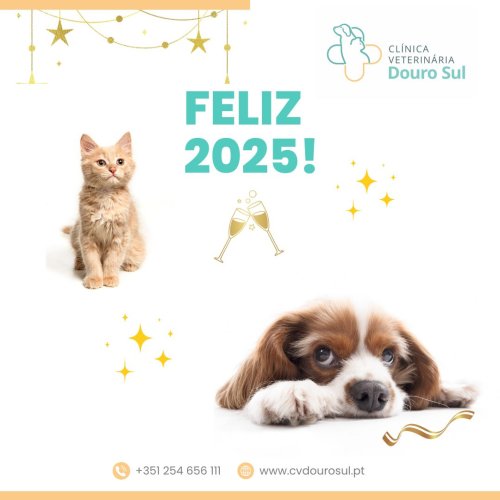 Photo post from clinica_veterinaria_dourosul.