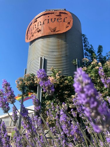 Carousel post from finnriver.