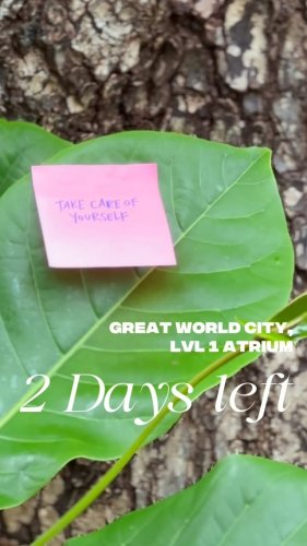 Video post from crane_living.