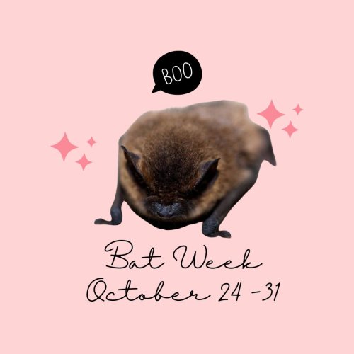 Photo post from prairie_wildlife_rehab_centre.