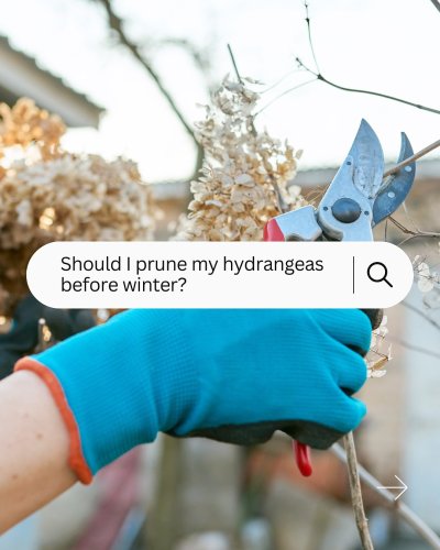 Carousel post from waysidegardens.