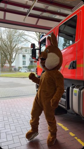 Video post from ff_stellingen.