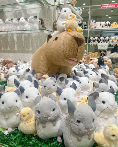 Carousel post from yoshitoku_plush.
