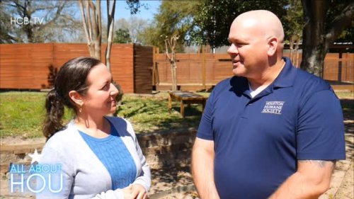 Video post from houstoncitybeat.