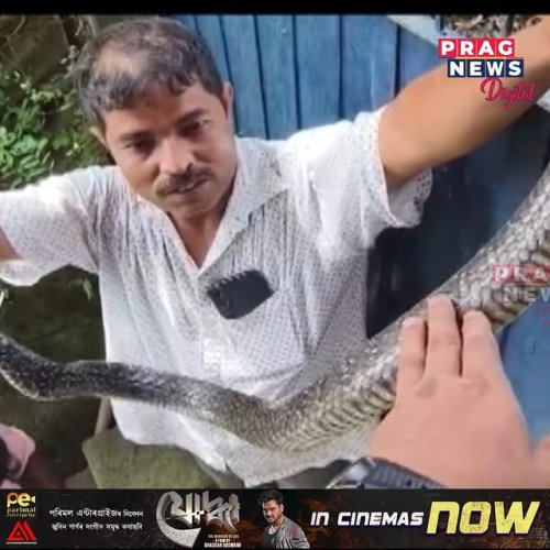 Video post from pragnewsofficial.