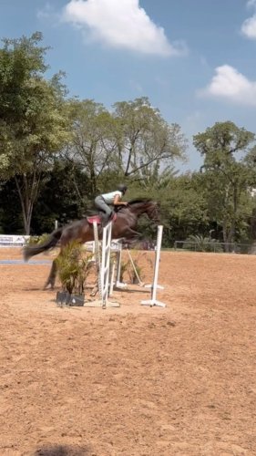 Video post from _lm_equestrian_.
