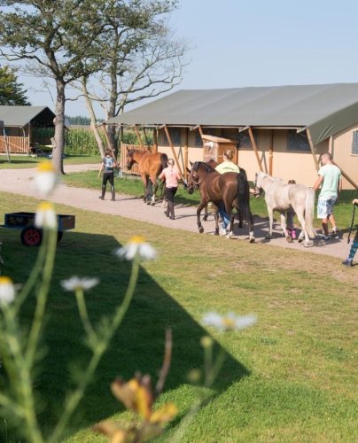 Carousel post from glampings.