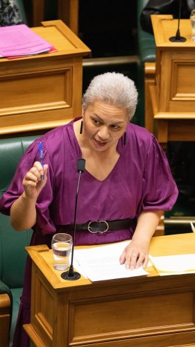 Video post from nzgreenparty.