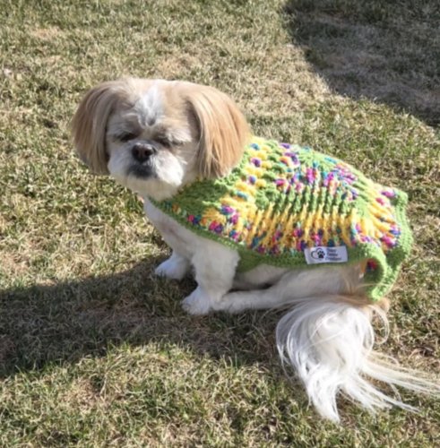 Photo post from niftygiftynorfolk.