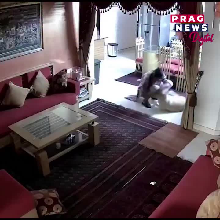 Video post from pragnewsofficial.