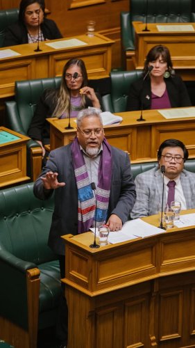 Video post from nzgreenparty.