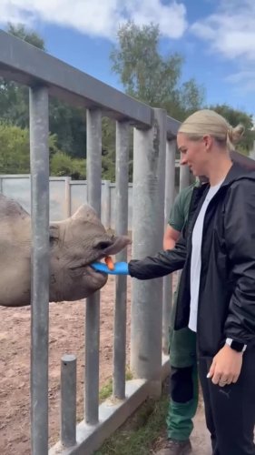 Video post from gembon23.