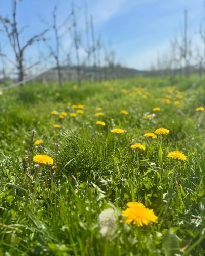 Carousel post from finnriver.