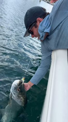Video post from ejs_fishing_charters.
