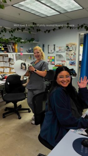 Video post from familyanimalhospitalcm.