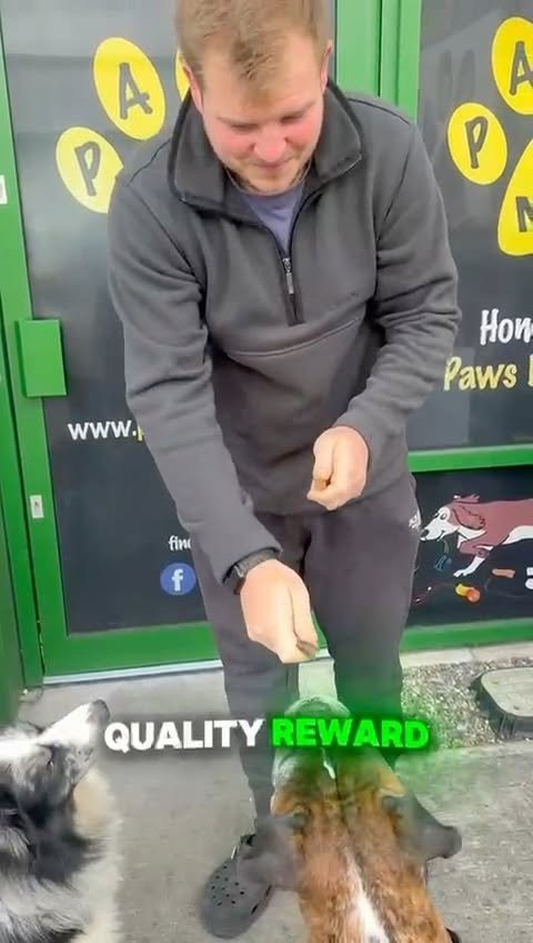 Video post from pawstrading.