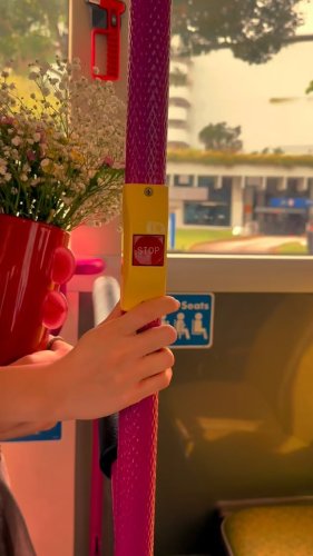 Video post from crane_living.