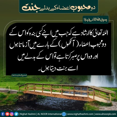 Photo post from nighathashmi.