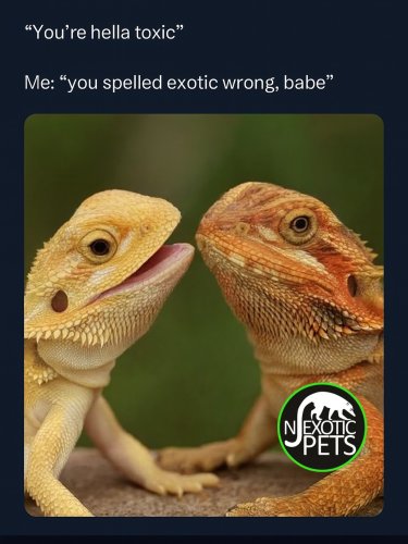 Photo post from njexoticpets.