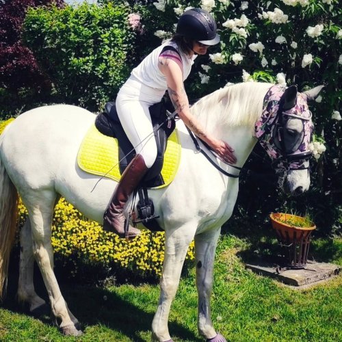 Photo post from freya_the_connemara.