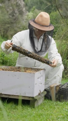 Video post from comvita_nz.