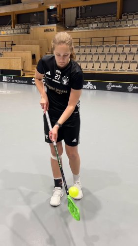 Video post from kauppitwins.