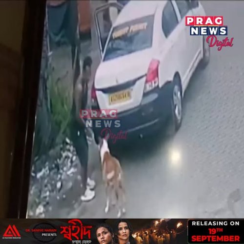 Video post from pragnewsofficial.