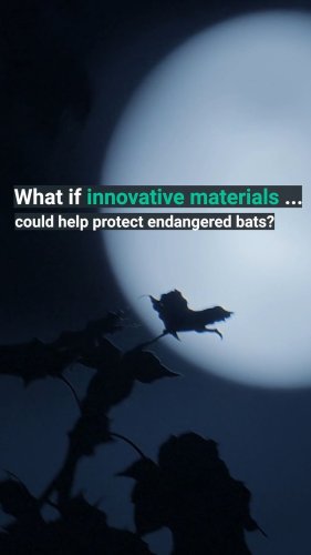 Video post from ornlbio_env.